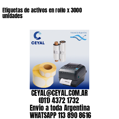 Etiquetas de activos en rollo x 3000 unidades