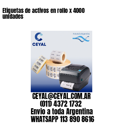 Etiquetas de activos en rollo x 4000 unidades