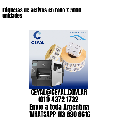 Etiquetas de activos en rollo x 5000 unidades