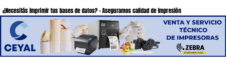 ¿Necesitás imprimir tus bases de datos? - Aseguramos calidad de impresión