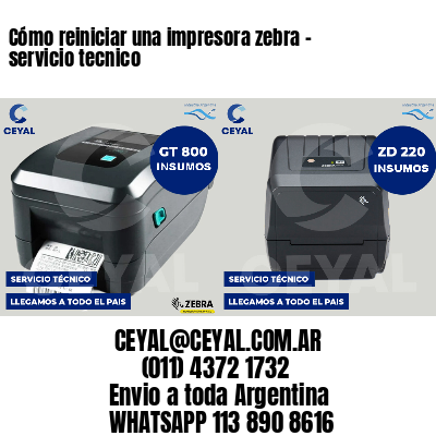 Cómo reiniciar una impresora zebra - servicio tecnico