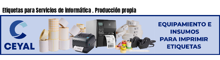 Etiquetas para Servicios de informática . Producción propia