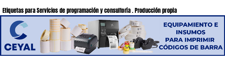 Etiquetas para Servicios de programación y consultoría . Producción propia