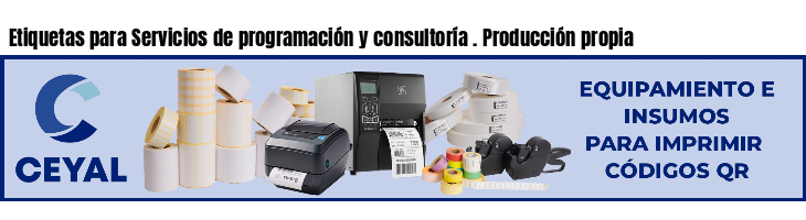 Etiquetas para Servicios de programación y consultoría . Producción propia