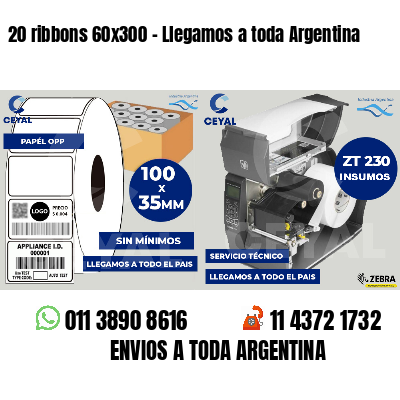 20 ribbons 60x300 - Llegamos a toda Argentina