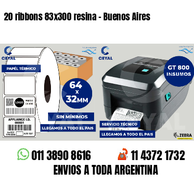 20 ribbons 83x300 resina - Buenos Aires