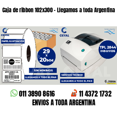 Caja de ribbon 102x300 - Llegamos a toda Argentina