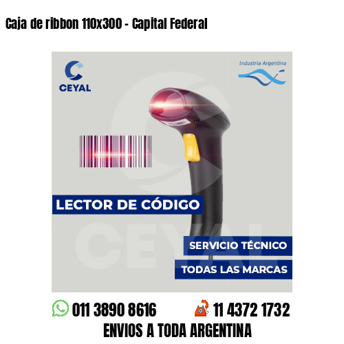 Caja de ribbon 110x300 - Capital Federal