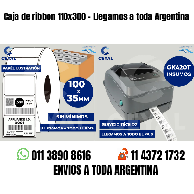 Caja de ribbon 110x300 - Llegamos a toda Argentina