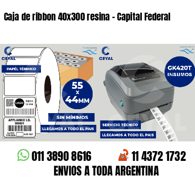 Caja de ribbon 40x300 resina - Capital Federal