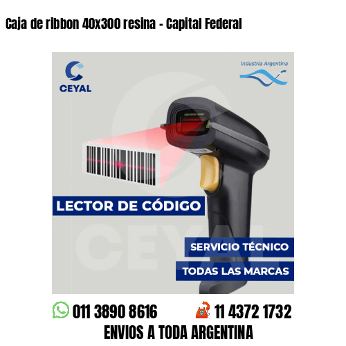 Caja de ribbon 40x300 resina - Capital Federal