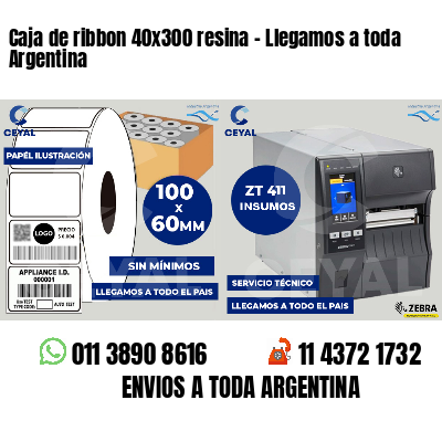 Caja de ribbon 40x300 resina - Llegamos a toda Argentina