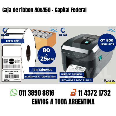 Caja de ribbon 40x450 - Capital Federal