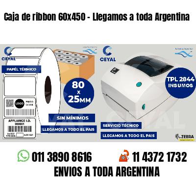 Caja de ribbon 60x450 - Llegamos a toda Argentina