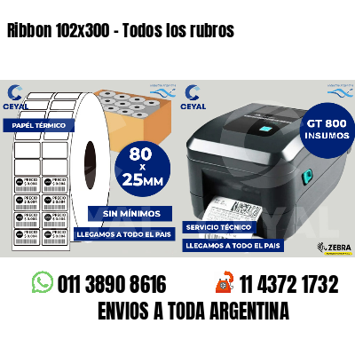 Ribbon 102x300 - Todos los rubros