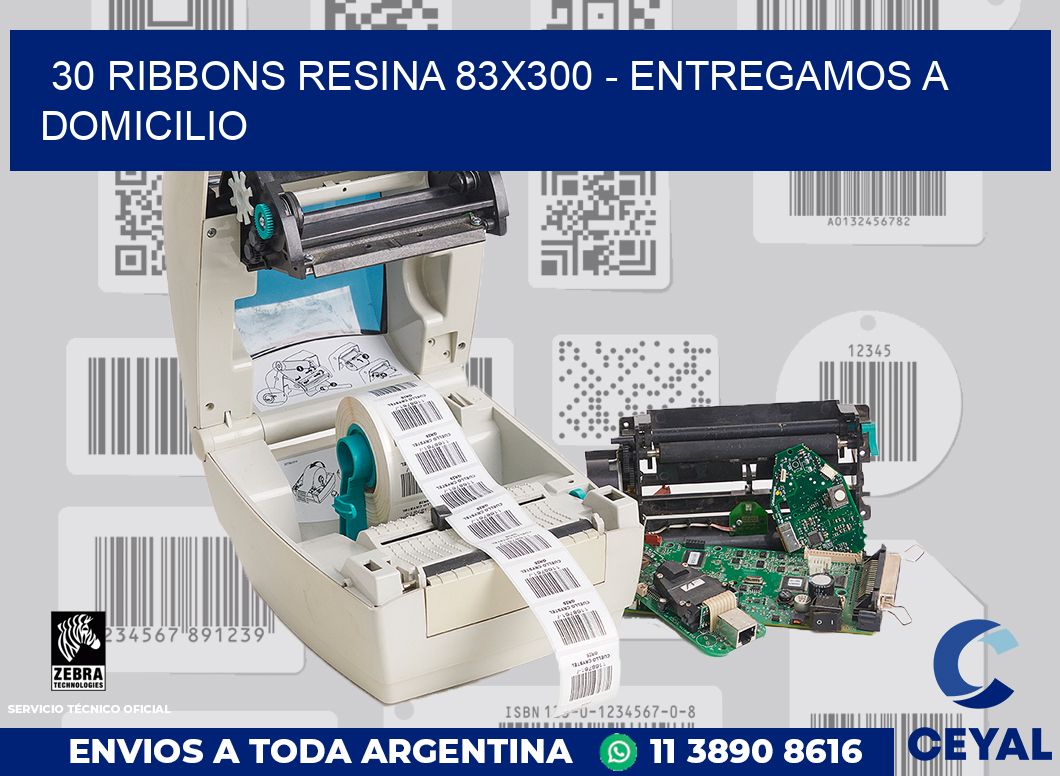 30 Ribbons resina 83x300 - entregamos a domicilio