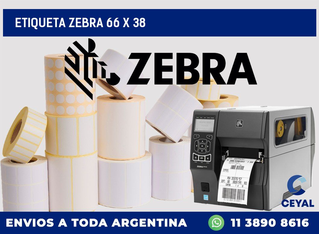 etiqueta zebra 66 x 38