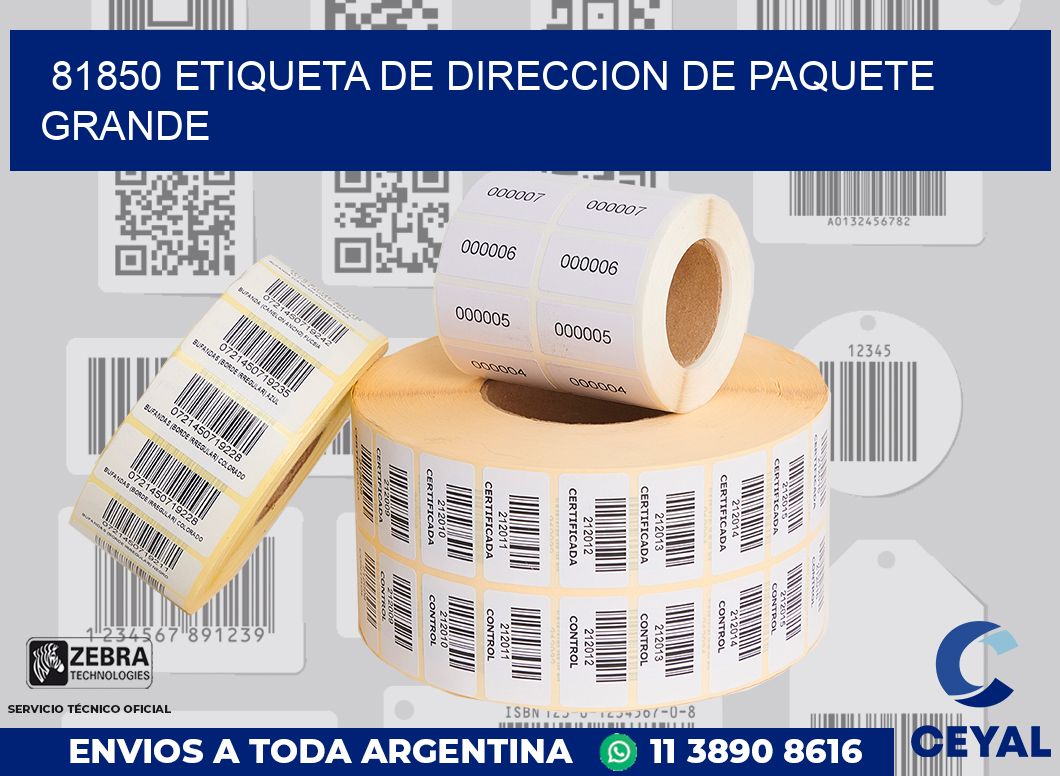 81850 Etiqueta de direccion de paquete grande