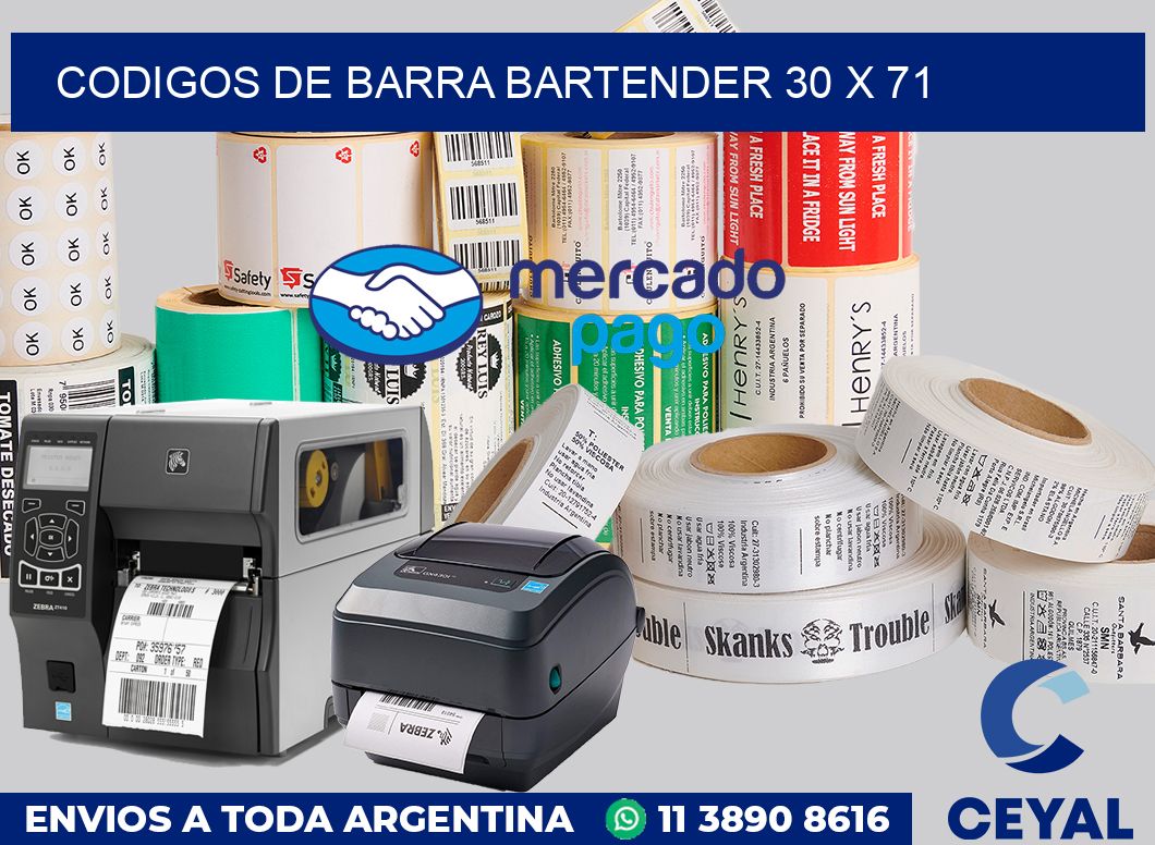 Codigos de barra Bartender 30 x 71