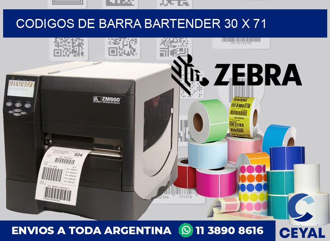 Codigos de barra Bartender 30 x 71