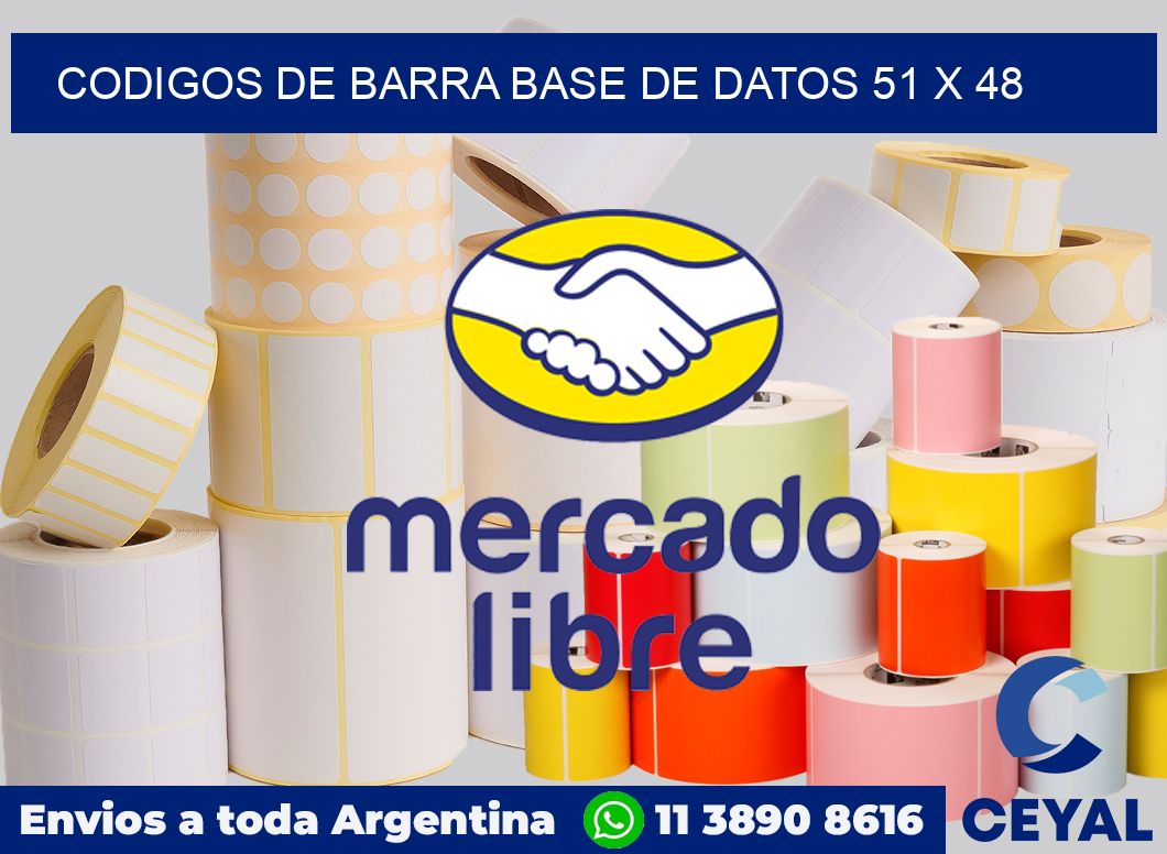 Codigos de barra base de datos 51 x 48