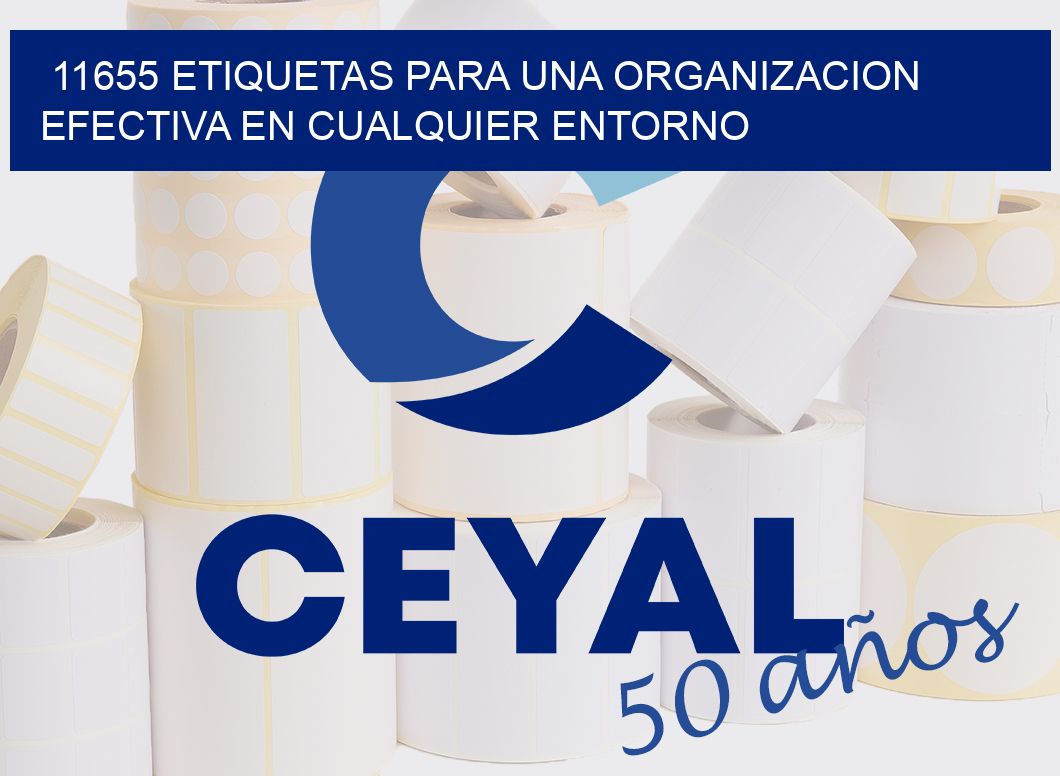 11655 ETIQUETAS PARA UNA ORGANIZACION EFECTIVA EN CUALQUIER ENTORNO