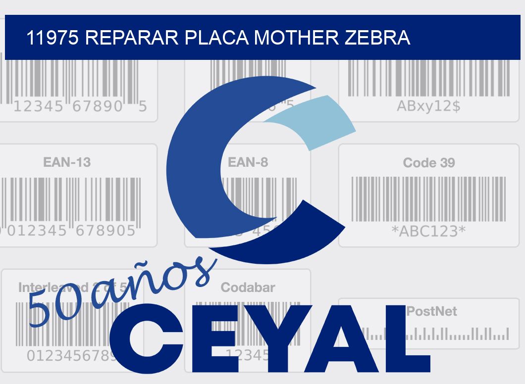 11975 REPARAR PLACA MOTHER ZEBRA