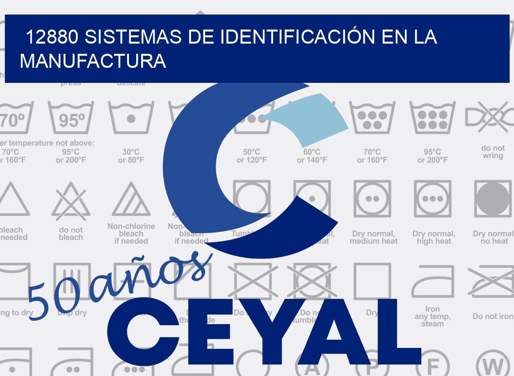 12880 SISTEMAS DE IDENTIFICACIÓN EN LA MANUFACTURA