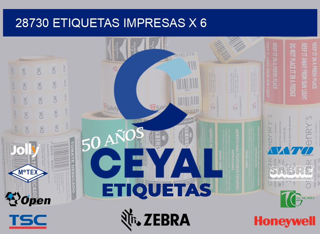 28730 Etiquetas impresas x 6