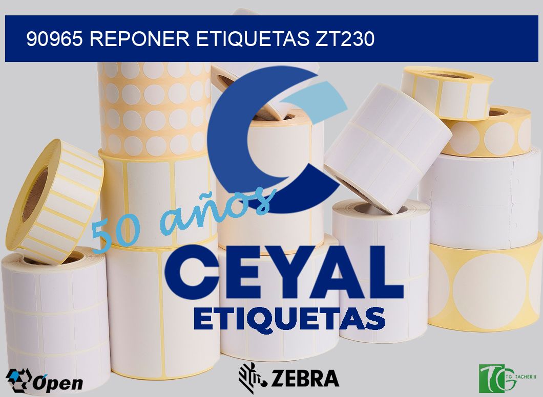 90965 REPONER ETIQUETAS ZT230