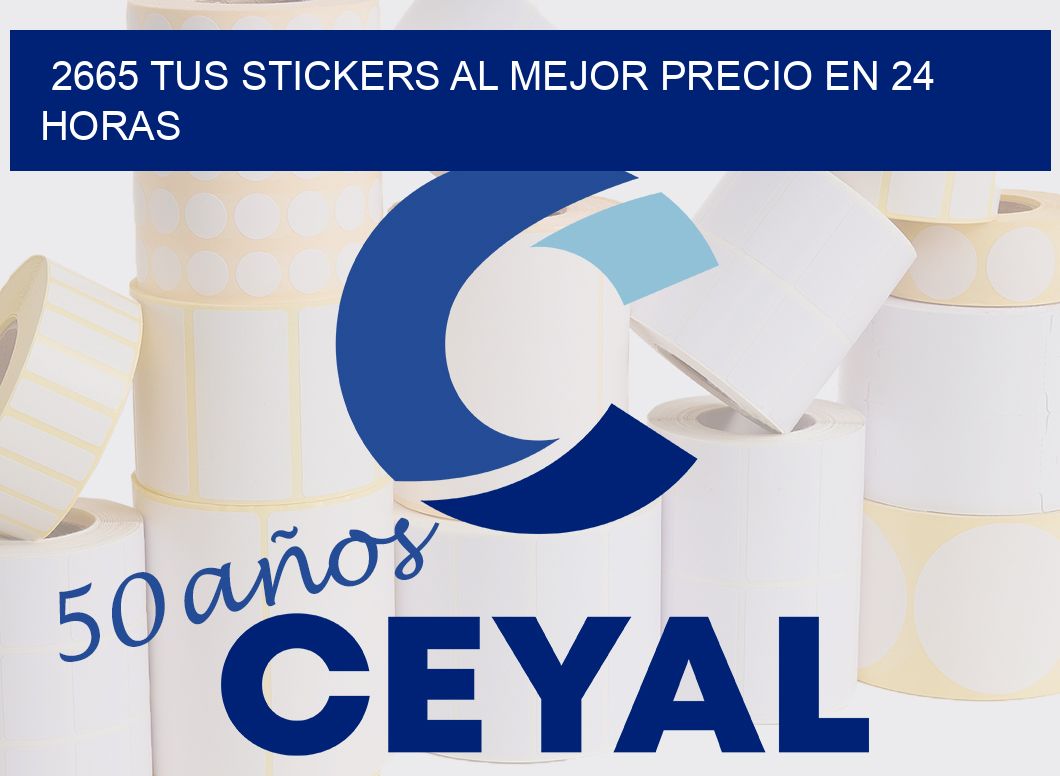 2665 TUS STICKERS AL MEJOR PRECIO EN 24 HORAS