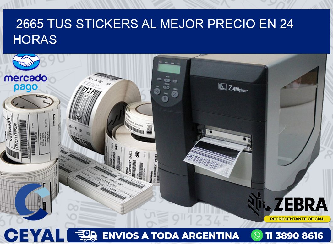 2665 TUS STICKERS AL MEJOR PRECIO EN 24 HORAS