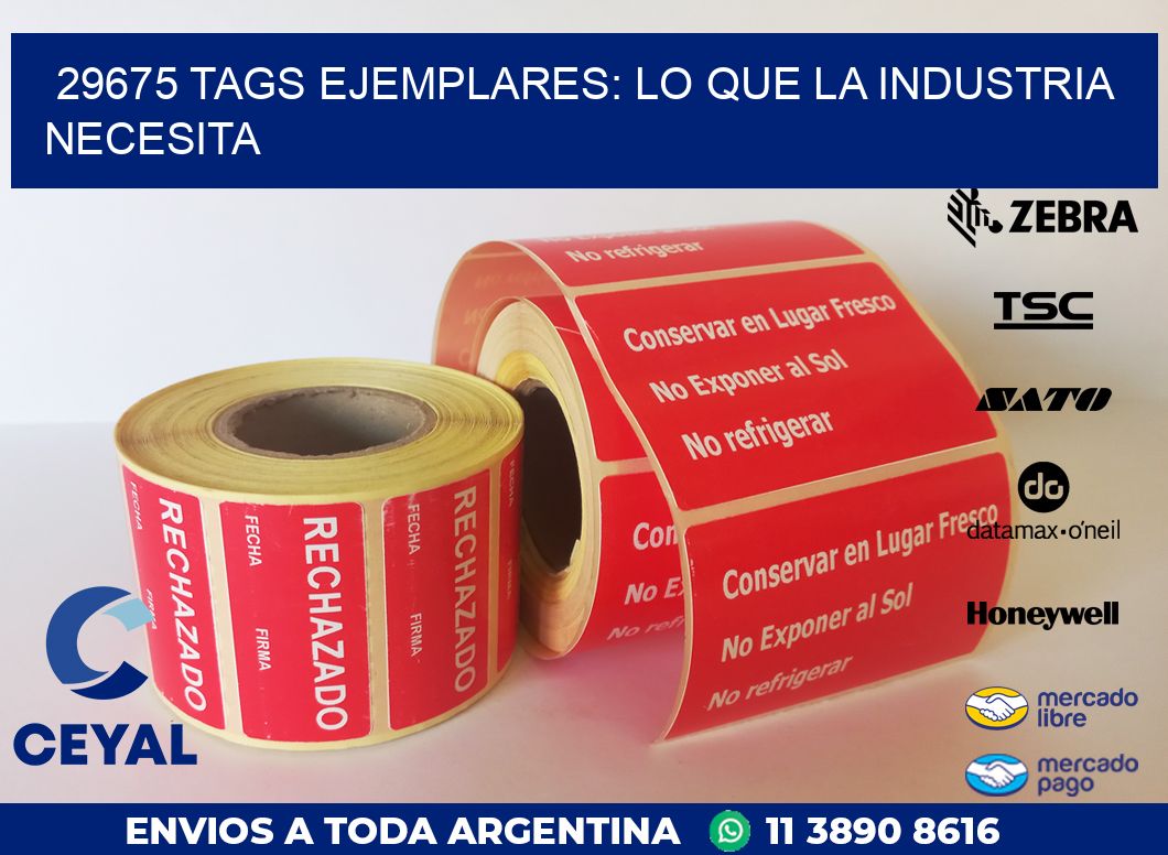 29675 TAGS EJEMPLARES: LO QUE LA INDUSTRIA NECESITA