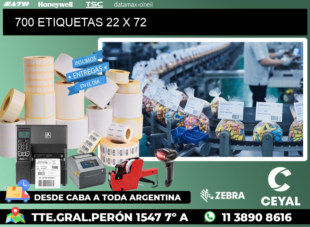 700 ETIQUETAS 22 x 72