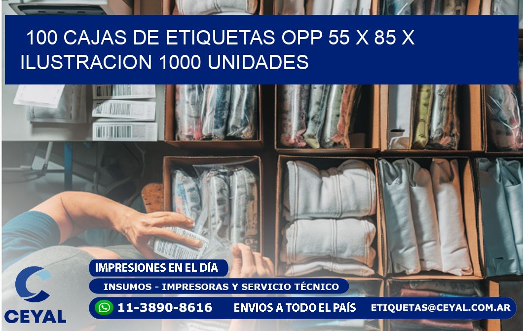 100 CAJAS DE ETIQUETAS OPP 55 x 85 X ILUSTRACION 1000 UNIDADES