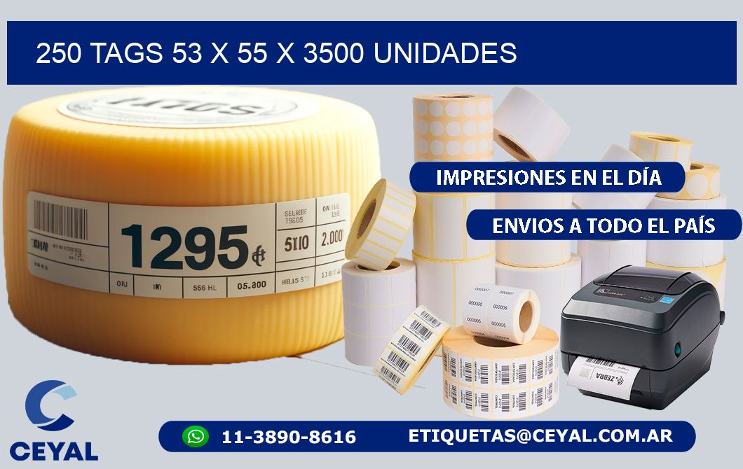 250 TAGS 53 x 55 X 3500 UNIDADES