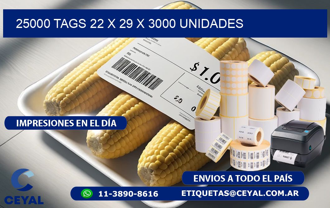 25000 TAGS 22 x 29 X 3000 UNIDADES