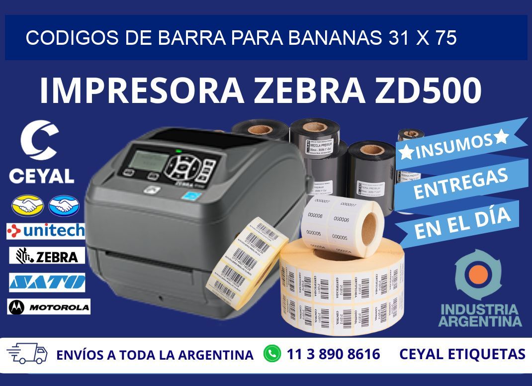 CODIGOS DE BARRA PARA BANANAS 31 x 75