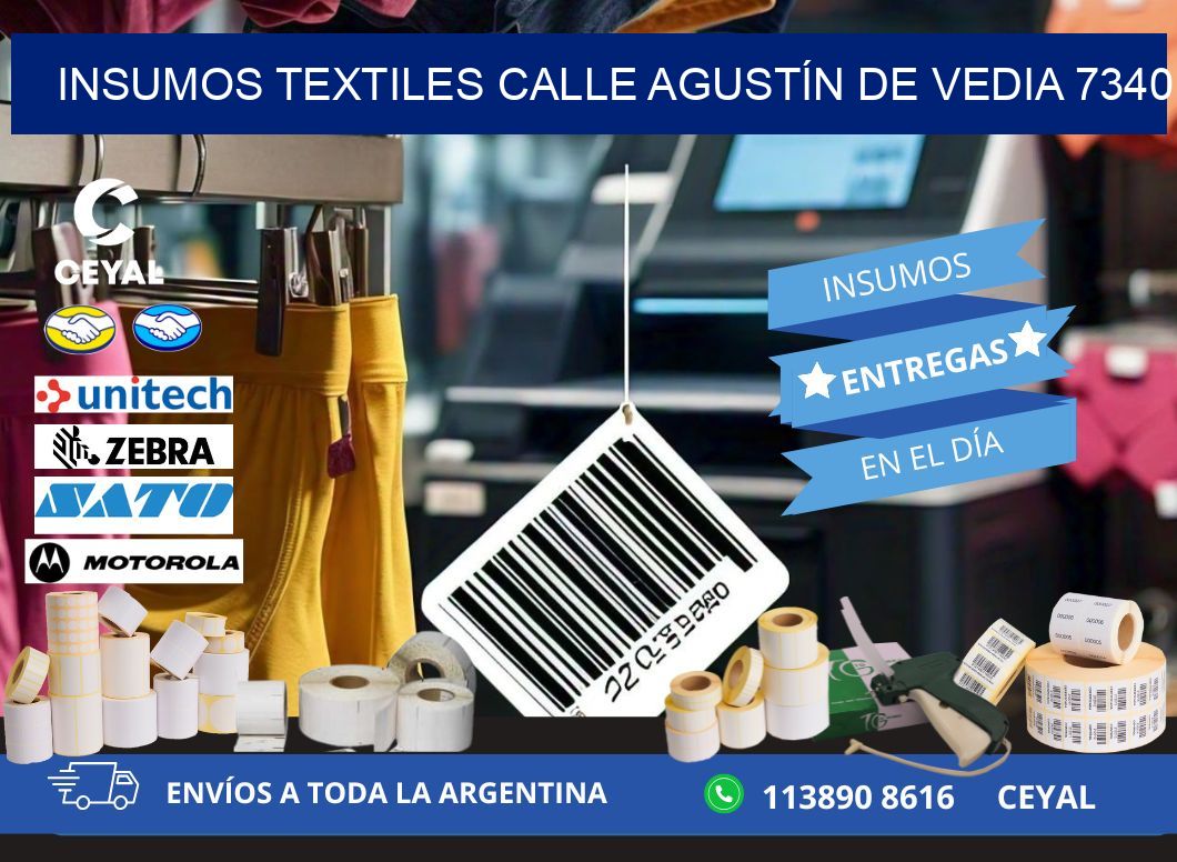 INSUMOS TEXTILES CALLE AGUSTÍN DE VEDIA 7340