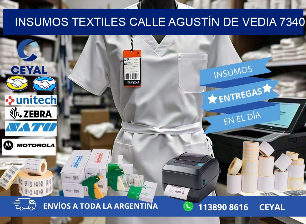 INSUMOS TEXTILES CALLE AGUSTÍN DE VEDIA 7340